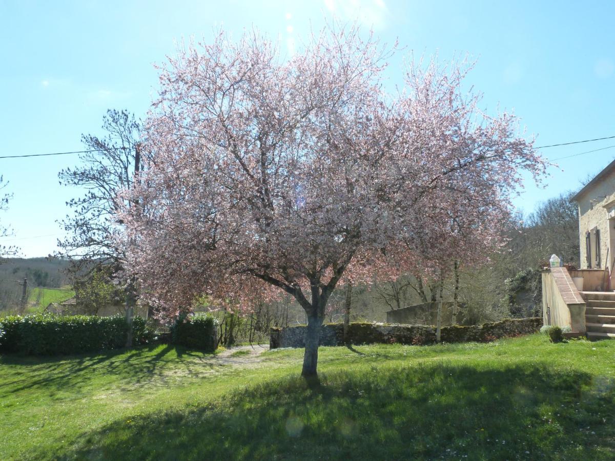 Gite Avec Piscine Proche De St Cirq Lapopie Berganty 外观 照片